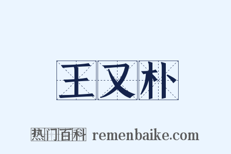 王又朴是什么意思的图片